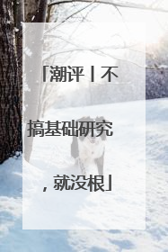 潮评丨不搞基础研究，就没根