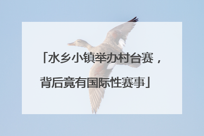 水乡小镇举办村台赛，背后竟有国际性赛事