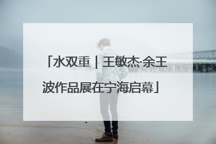 水双重｜王敏杰·余王波作品展在宁海启幕
