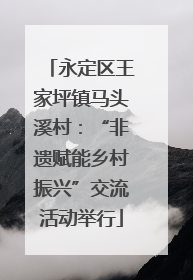 永定区王家坪镇马头溪村：“非遗赋能乡村振兴”交流活动举行