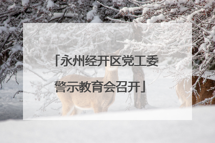 永州经开区党工委警示教育会召开