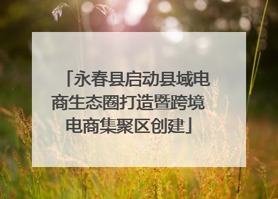 永春县启动县域电商生态圈打造暨跨境电商集聚区创建