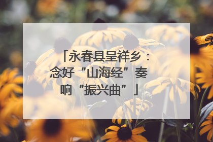 永春县呈祥乡：念好“山海经”奏响“振兴曲”