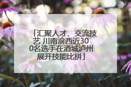 汇聚人才、交流技艺 川南渝西近300名选手在酒城泸州展开技能比拼
