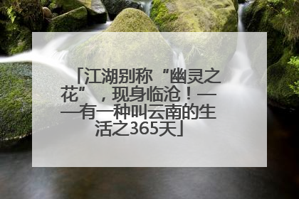 江湖别称“幽灵之花”，现身临沧！——有一种叫云南的生活之365天