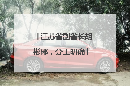 江苏省副省长胡彬郴，分工明确
