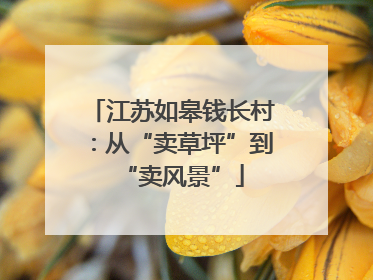 江苏如皋钱长村：从“卖草坪”到“卖风景”