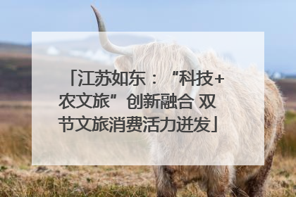 江苏如东：“科技+农文旅”创新融合 双节文旅消费活力迸发