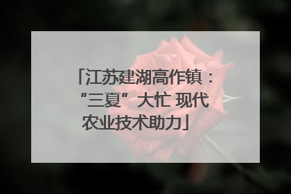 江苏建湖高作镇：“三夏”大忙 现代农业技术助力