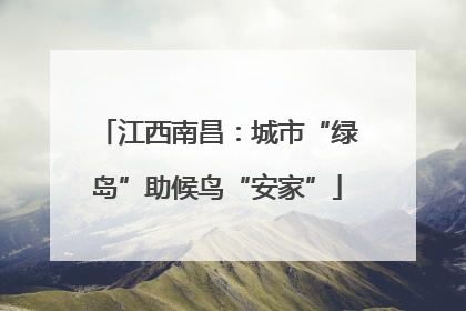 江西南昌：城市“绿岛”助候鸟“安家”