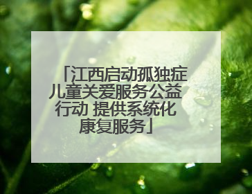 江西启动孤独症儿童关爱服务公益行动 提供系统化康复服务