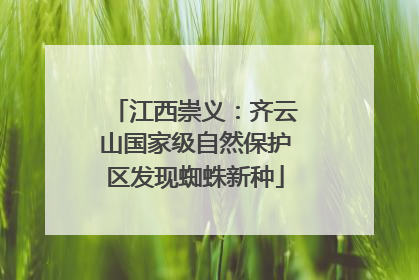 江西崇义：齐云山国家级自然保护区发现蜘蛛新种