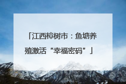 江西樟树市：鱼塘养殖激活“幸福密码”