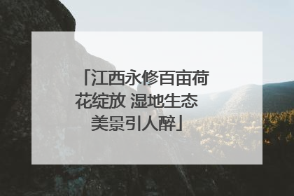 江西永修百亩荷花绽放 湿地生态美景引人醉