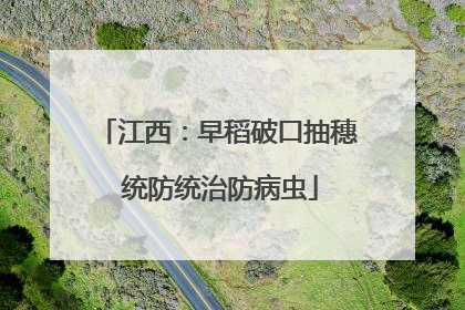 江西：早稻破口抽穗 统防统治防病虫