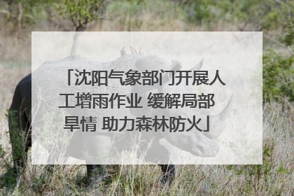 沈阳气象部门开展人工增雨作业 缓解局部旱情 助力森林防火