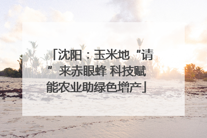 沈阳：玉米地“请”来赤眼蜂 科技赋能农业助绿色增产