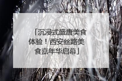 沉浸式盛唐美食体验！西安丝路美食嘉年华启幕