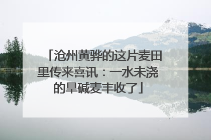 沧州黄骅的这片麦田里传来喜讯：一水未浇的旱碱麦丰收了