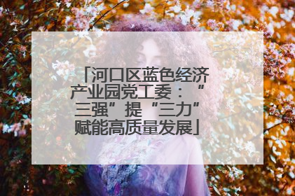 河口区蓝色经济产业园党工委：“三强”提“三力”赋能高质量发展
