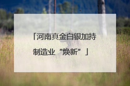 河南真金白银加持制造业“焕新”