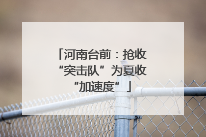 河南台前：抢收“突击队”为夏收“加速度”