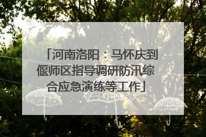 河南洛阳：马怀庆到偃师区指导调研防汛综合应急演练等工作