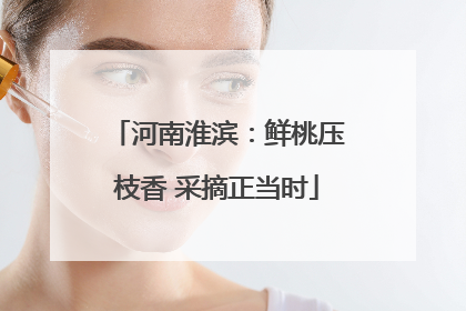 河南淮滨：鲜桃压枝香 采摘正当时