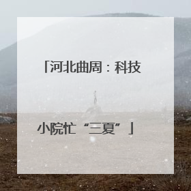 河北曲周：科技小院忙“三夏”