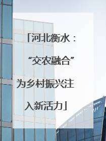 河北衡水：“交农融合”为乡村振兴注入新活力