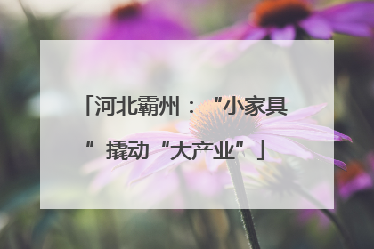 河北霸州：“小家具”撬动“大产业”