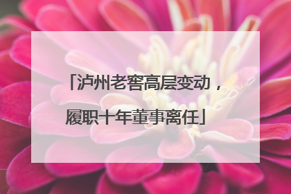 泸州老窖高层变动，履职十年董事离任