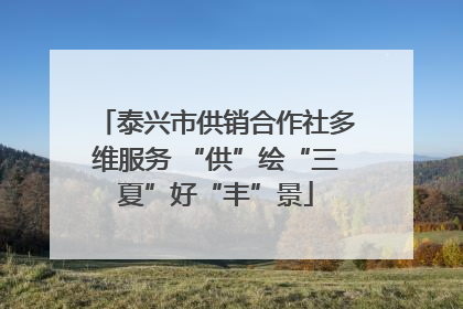 泰兴市供销合作社多维服务 “供”绘“三夏”好“丰”景
