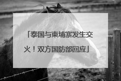 泰国与柬埔寨发生交火！双方国防部回应