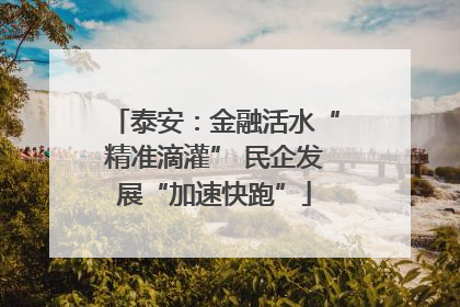 泰安：金融活水“精准滴灌” 民企发展“加速快跑”
