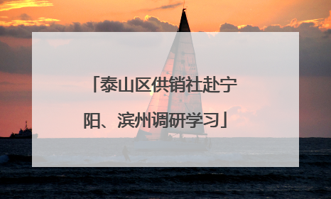 泰山区供销社赴宁阳、滨州调研学习