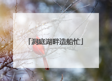 洞庭湖畔造船忙