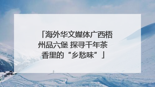 海外华文媒体广西梧州品六堡 探寻千年茶香里的“乡愁味”
