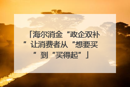 海尔消金“政企双补”让消费者从“想要买”到“买得起”