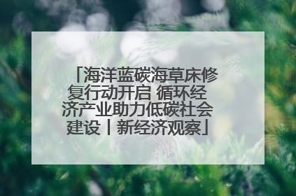 海洋蓝碳海草床修复行动开启 循环经济产业助力低碳社会建设丨新经济观察