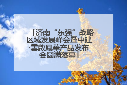 济南“东强”战略区域发展峰会暨中建·雲啟鳳華产品发布会圆满落幕