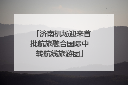 济南机场迎来首批航旅融合国际中转航线旅游团