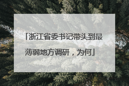 浙江省委书记带头到最薄弱地方调研，为何