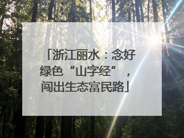 浙江丽水：念好绿色“山字经”，闯出生态富民路