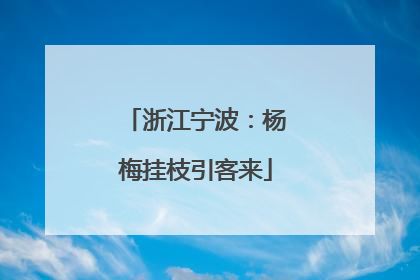 浙江宁波：杨梅挂枝引客来