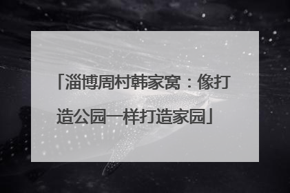 淄博周村韩家窝：像打造公园一样打造家园