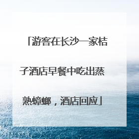 游客在长沙一家桔子酒店早餐中吃出蒸熟蟑螂，酒店回应