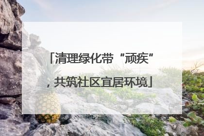 清理绿化带“顽疾”，共筑社区宜居环境