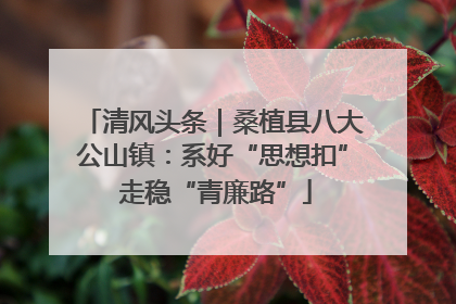 清风头条｜桑植县八大公山镇：系好“思想扣” 走稳“青廉路”