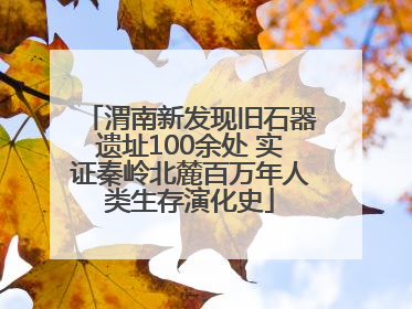渭南新发现旧石器遗址100余处 实证秦岭北麓百万年人类生存演化史